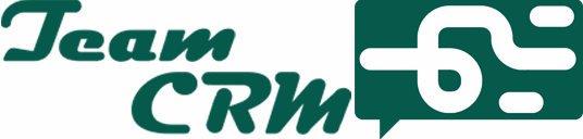 لوگوی TEAMCRM
